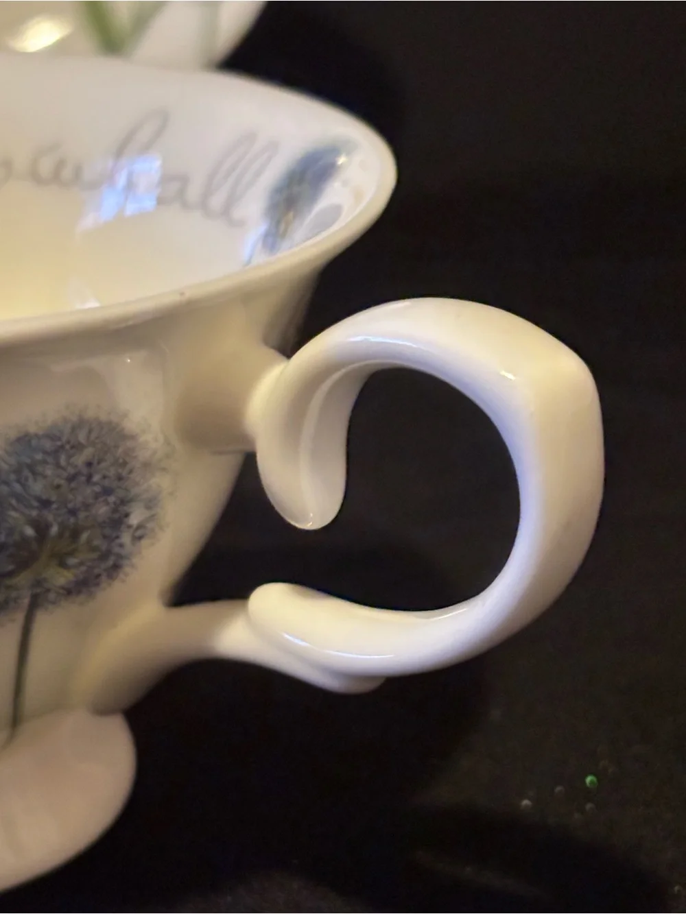 Stechol Bone China Snowball Teacup and Saucer Floral Design